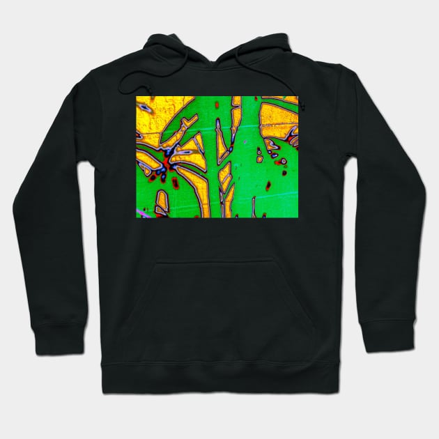 Nazca Veneer Hoodie by BadHabitsLounge